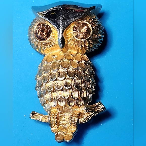 Jewelry - Golden Owl Pendant/Brooch